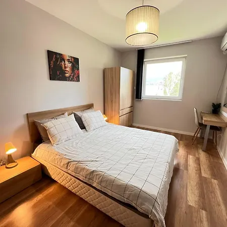 Chicago Modern 1bdr In The Heart Of Student's * Sofia